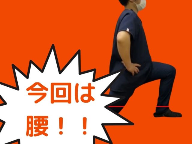 腰部トレーニング動画